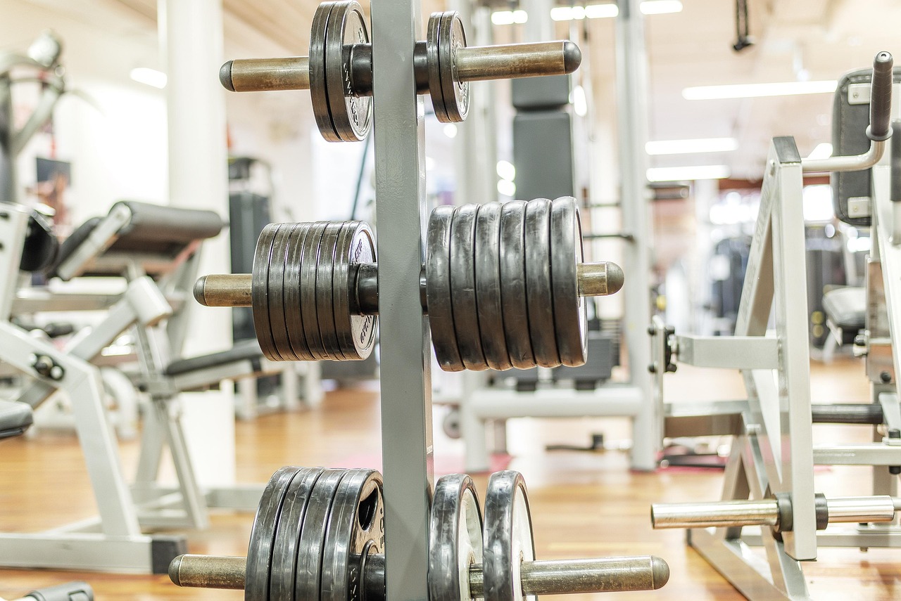 Musculation